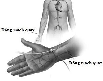 Những vấn đề bệnh nhân cần lưu ý 2