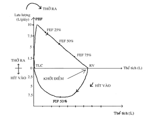Đo chức năng hô hấp