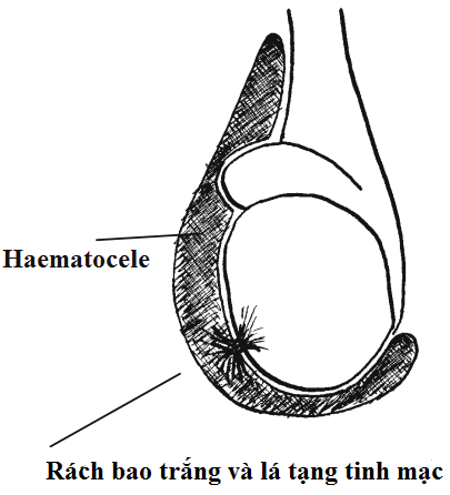 image 20200824144655 3