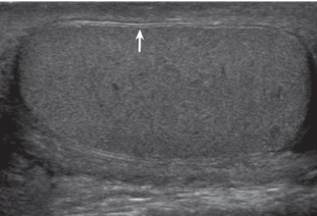 image 20200824144655 5