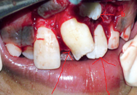 image 20231218155055 17 482x336