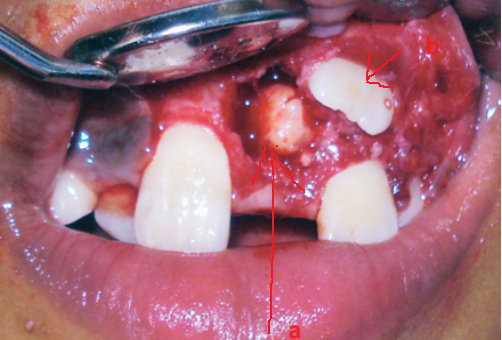 image 20231218155055 19 502x340